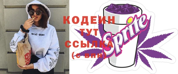 прущие крисы Инта