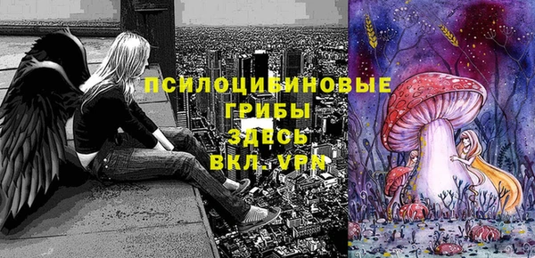 прущие крисы Инта