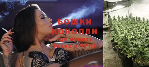 прущие крисы Инта