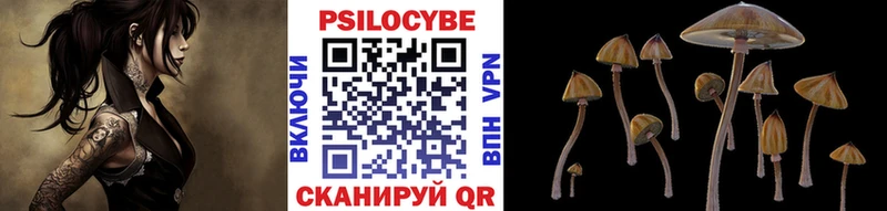 где продают наркотики  Демидов  дарк нет как зайти  Псилоцибиновые грибы MAGIC MUSHROOMS 